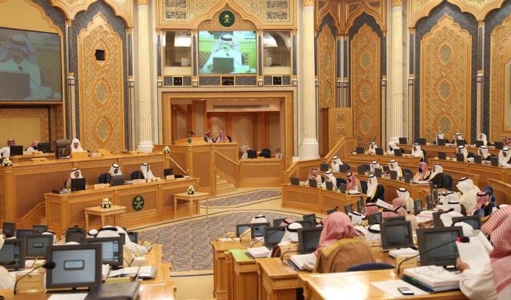 مجلس الشورى يرفض تحويل رعاية الشباب إلى وزارة
