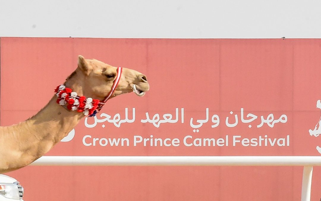 “شاهين” ينتزع نوماس الفترة المسائية لفئة الحقايق