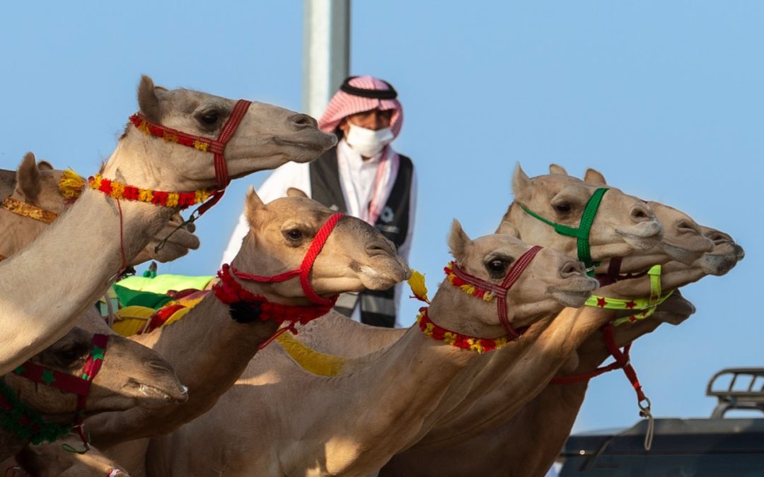 البكرة “اندفاع” تخطف نجومية مساء سادس أيام المهرجان