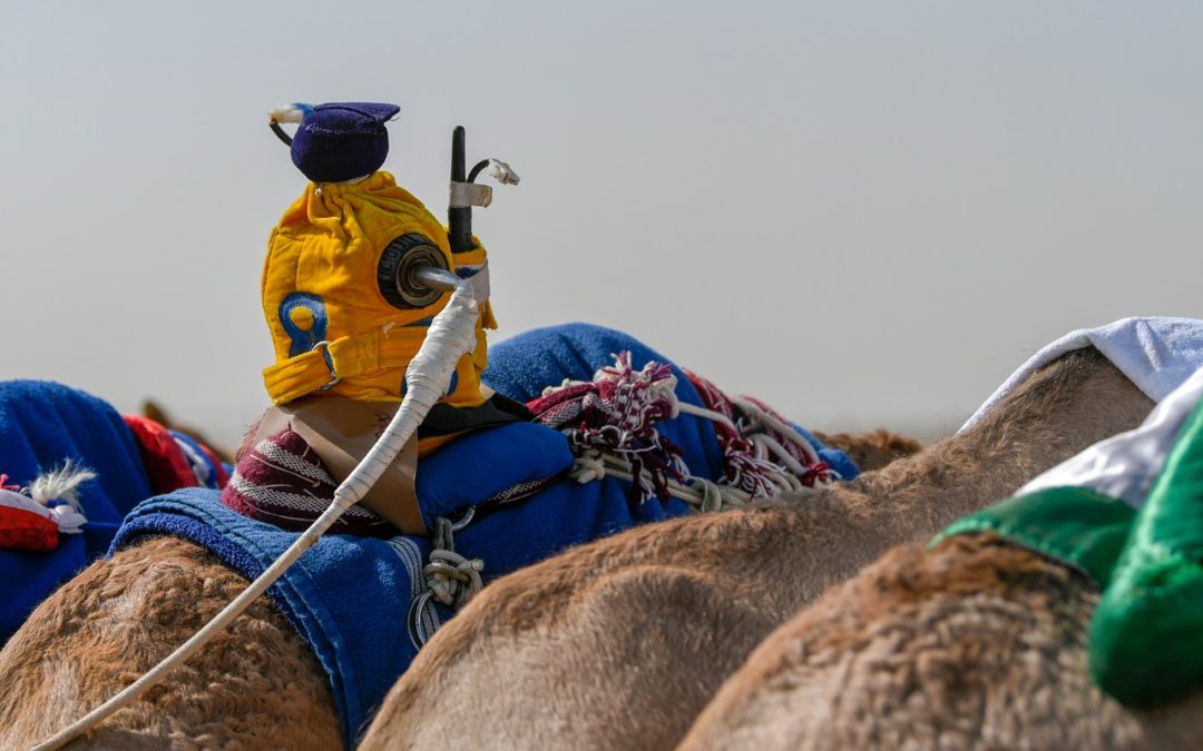 الراكب الآلي.. تقنية محلية أسعارها من 700 إلى 1500 ريال