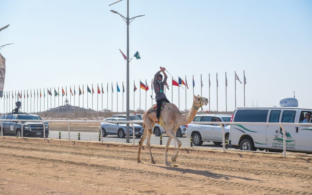 11 سبتمبـر .. ختام النسخة الثالثة من مهرجان ولي العهد للهجن