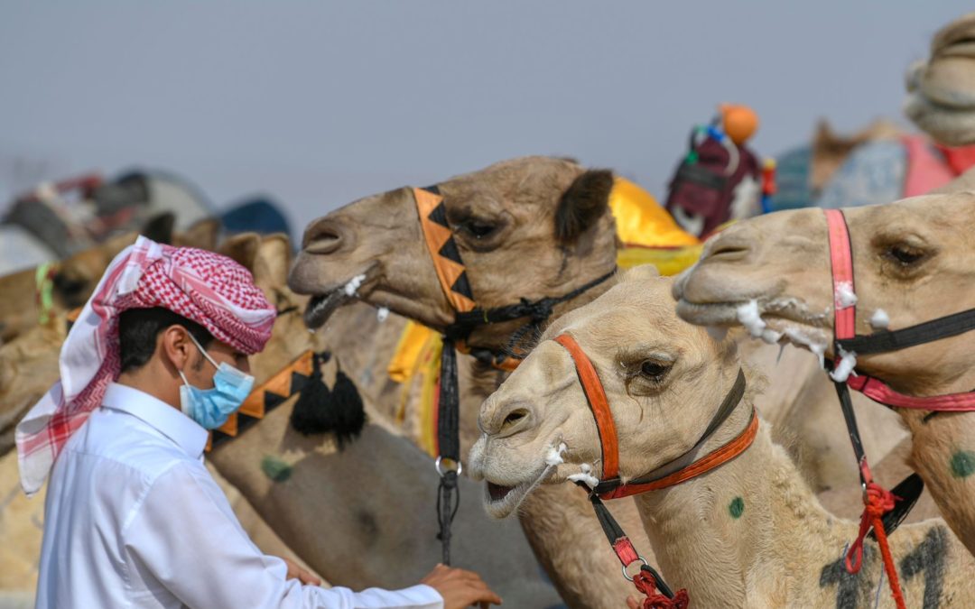 8 رموز تنتظر الملاك في الأيام الأخيرة