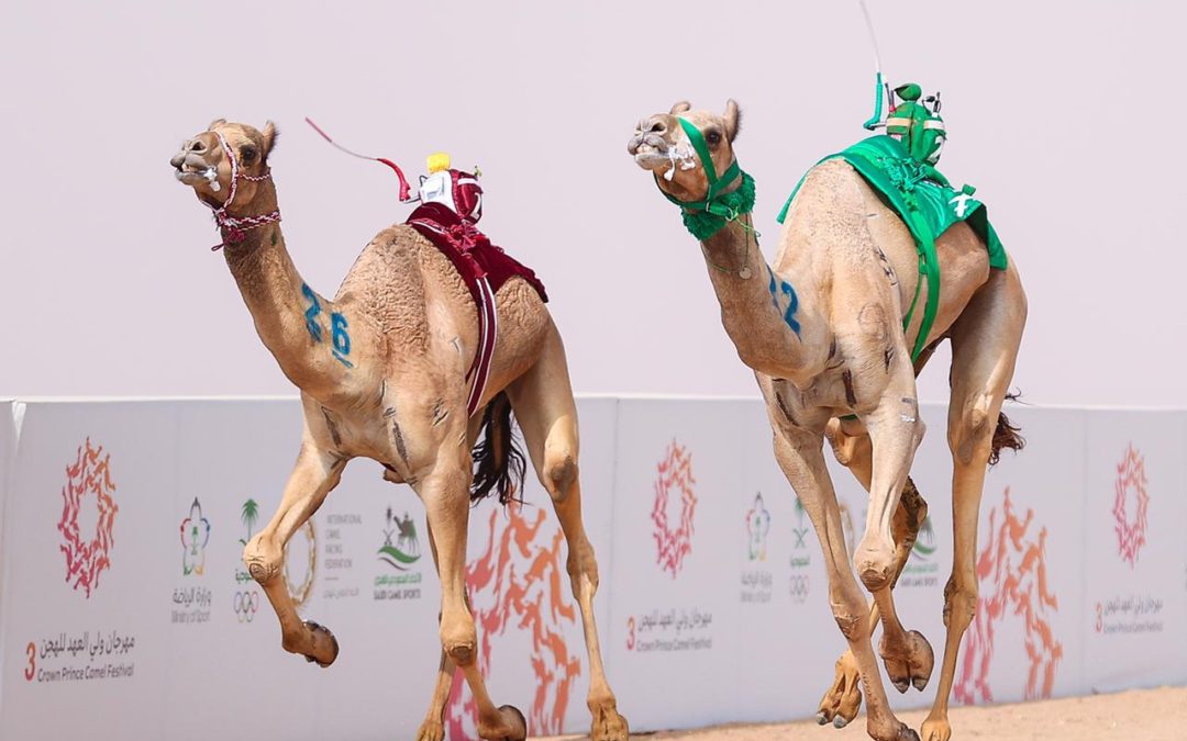 التهوية سلاح المضمرين للأشواط النهائية 