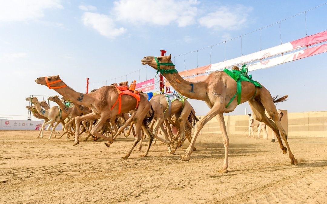 بعد 1150 يوماً.. وعد فهد بن جلوي يتحقق .. ونايف “بطلاً”