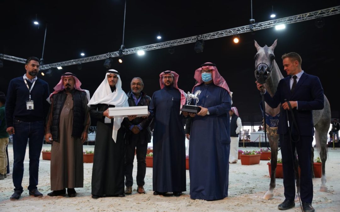 بحضور رئيس الاتحاد السعودي للفروسية..ختام مثير لبطولة العرب لجمال الخيل العربية الأصيلة