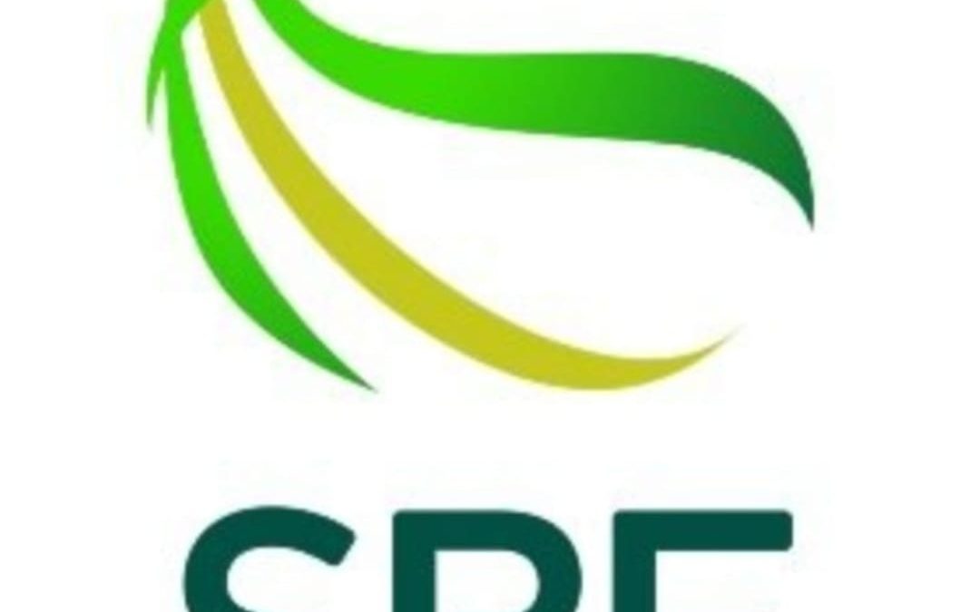 غداً (٨) مباريات في افتتاح كأس وزارة الرياضة لكرة السلة