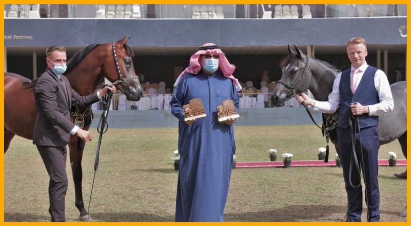 اختام بطولة الخيل سعودية الأصل والمنشأ بمهرجان الأمير سلطان بن عبدالعزيز العالمي للجواد العربي