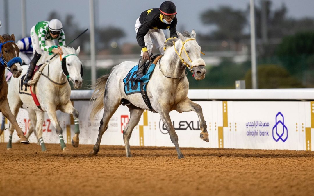 ستة مرشحين للفوز يكتسبون حق المشاركة تلقائيًا في سباق الخيل الأغلى في العالم