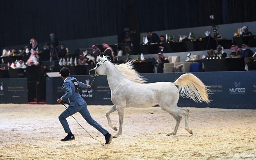 الرياض ترفع الستار عن النسخة الثانية من بطولة ” كحيلة