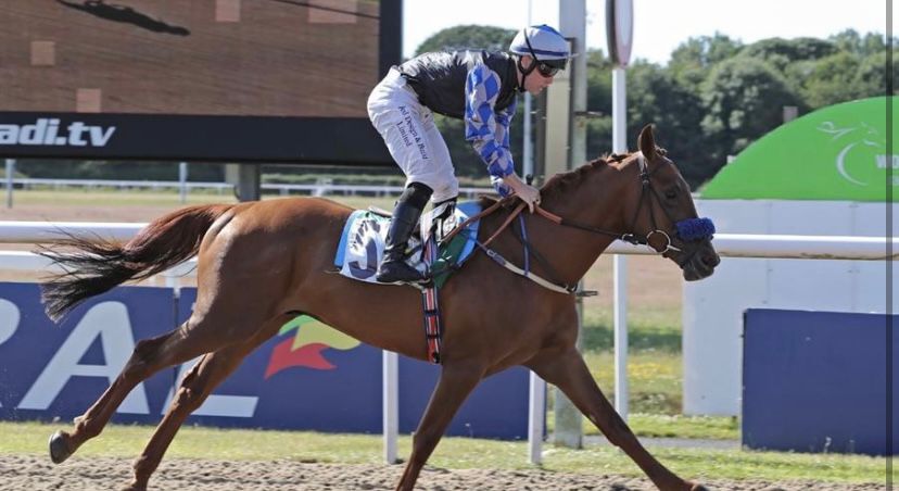 المهر ” كفو عذبة ” يحقق الوثبة بإنجلترا