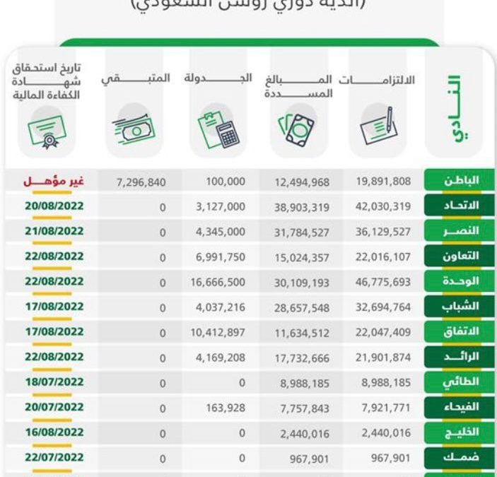 “الرياضة” تكشف تفاصيل ما تم سداده من الالتزامات المالية على أندية دوري روشن
