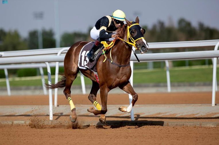 نادي سباقات الخيل ينظم الحفل الـ 34 في موسم سباقات الطائف 2022
