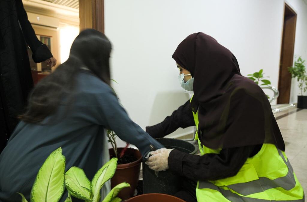 مبادرة “وفرعها أخضر ” تكسو إدارة الأسر الكافلة بالخضرة بالتعاون مع جهات حكومية وأهلية فاعلة