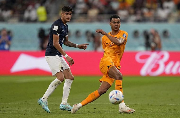 هولندا تسقط في فخ التعادل أمام الإكوادور في كأس العالم 2022