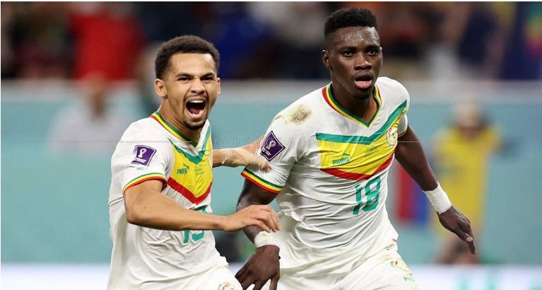 السنغال ترافق هولندا بعد انتصارها على الإكوادور بهدفين لهدف