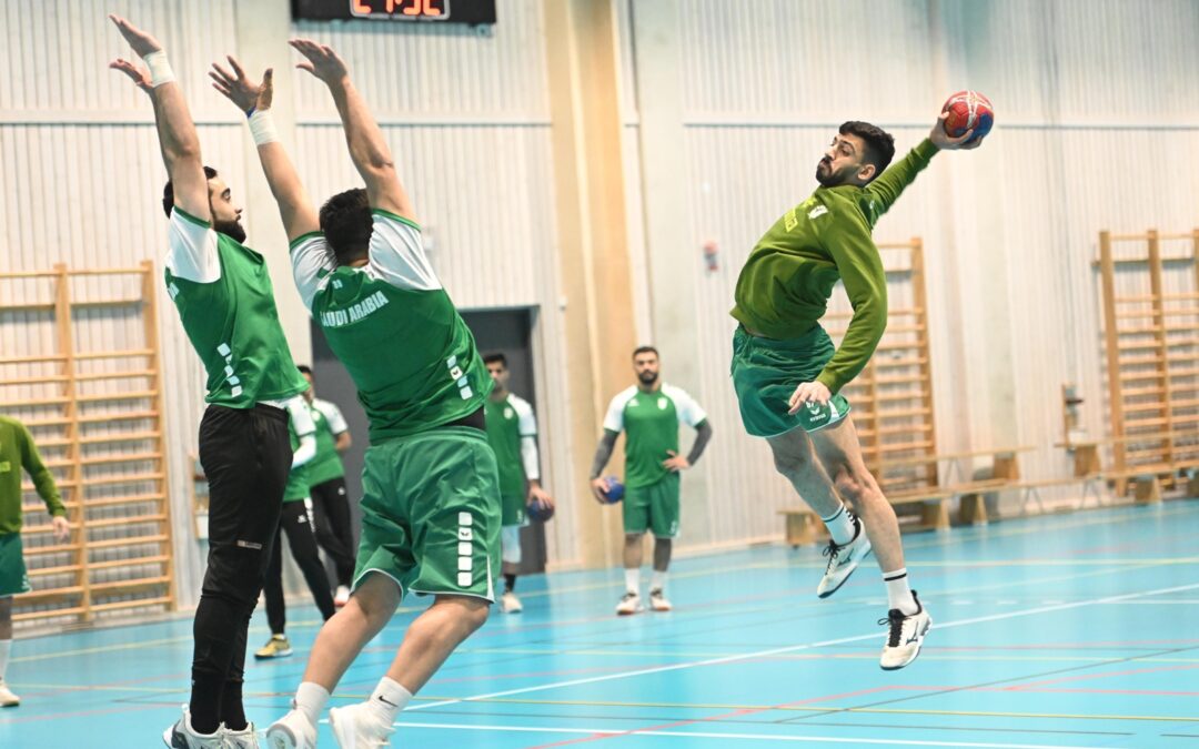 أخضر اليد يواجه بطل العـالم وبطل الأولمبيـاد