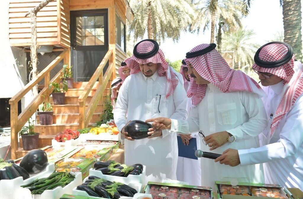 الخريف يلتقي بالمزارعين داخل بساتين النخيل في القطيف   