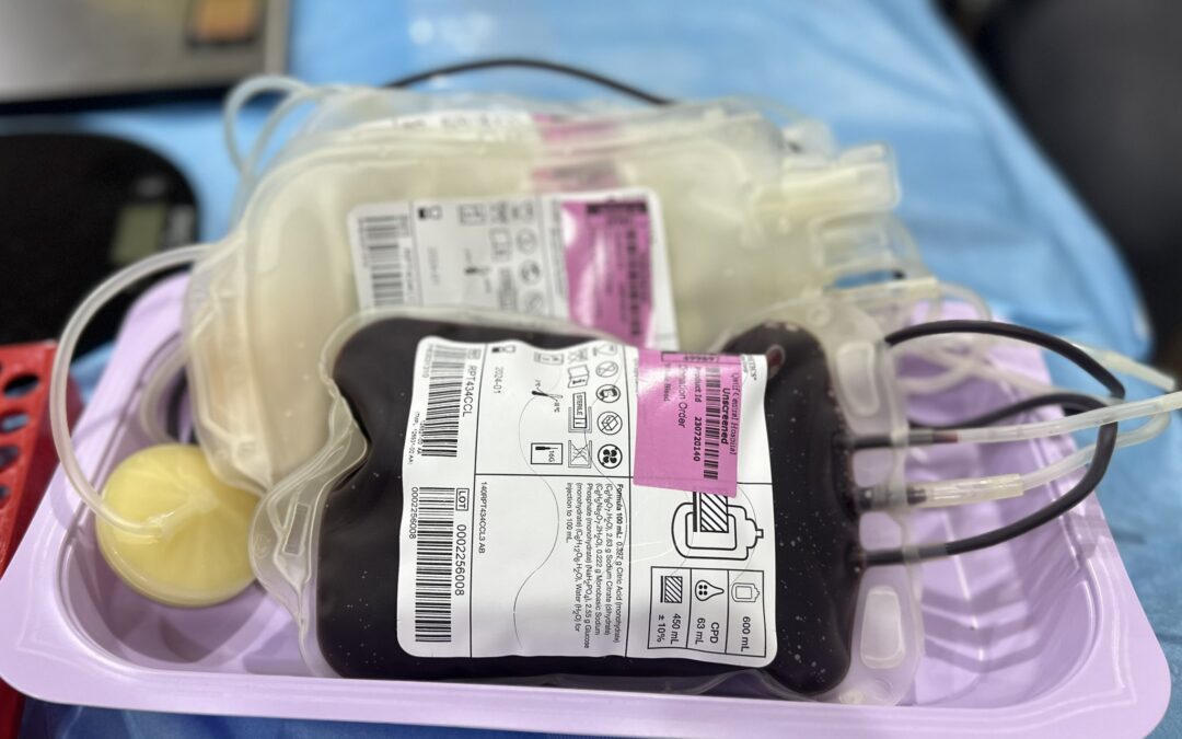 المملكة الأولى عالمياً في الرغبة بالتبرع بالدم