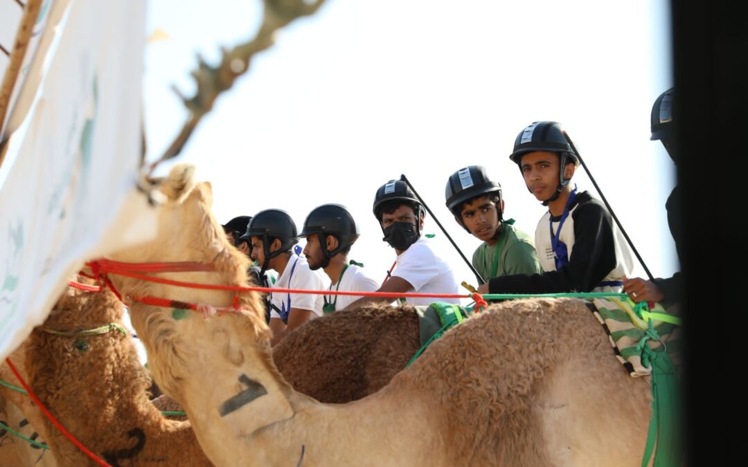 في ثالث أيام المنافسات على ميدان السيح في الأحساء : سيطرة إماراتية على كؤوس وزارة الرياضة لفئة “الجذاع”