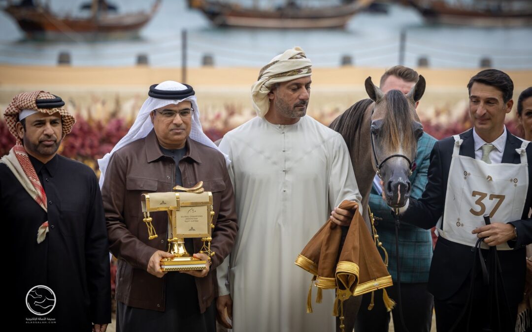 مربط دبي يحرز كل ألوان المعادن النفيسة في جولة الجياد العربية