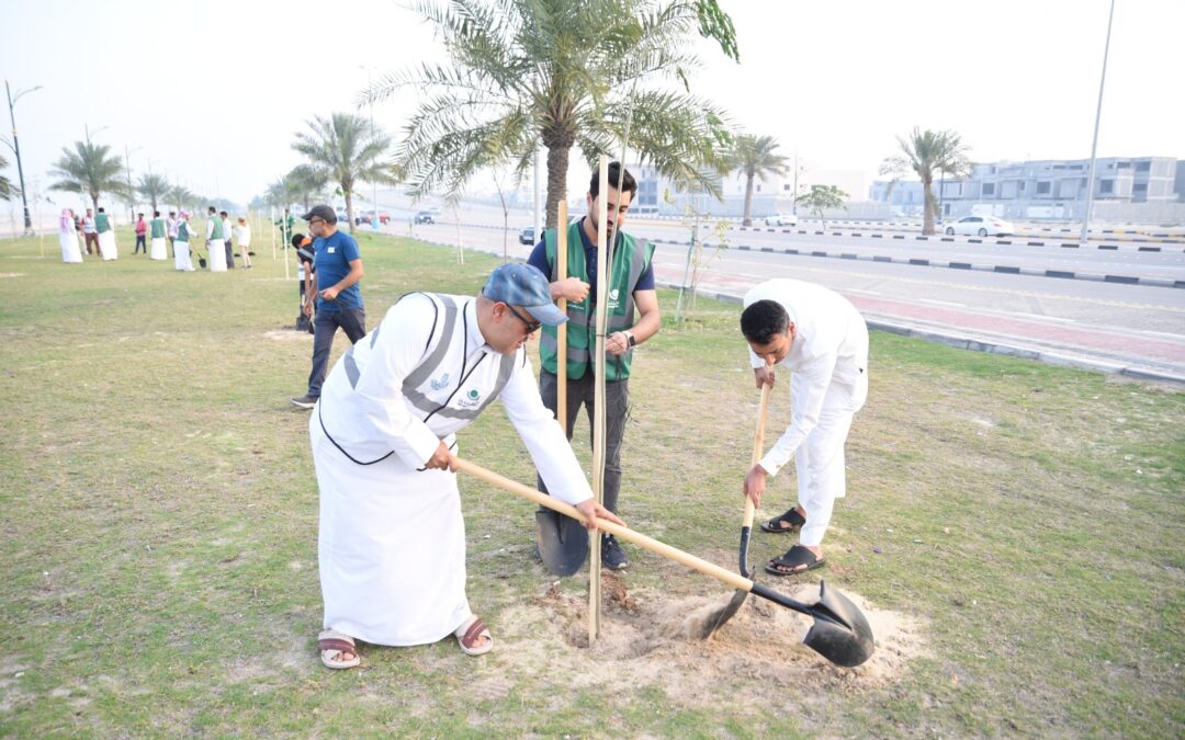 مبادرة “مساحة خضراء تواصل أعمالها بغرس الأشجار بمشاركة المتطوعين بالقطيف
