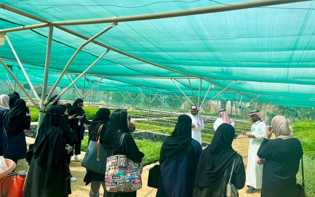 أمانة الشرقية تنفذ مبادرة بيئتي خضراء تزامنا مع اليوم العالمي للصحة النباتية