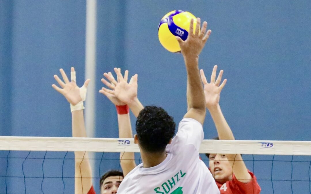 في استطلاع اجرته فرسان الرياضة .. فنيون ولاعبون : مركز المعد والليبرو خط أحمر