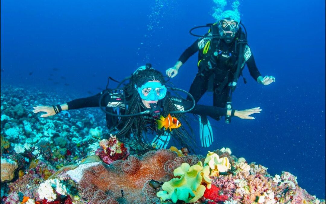 “يلا بحر” .. يجذب المشاهدين لاستكشاف طبيعة المملكة من غربها إلى جنوبها