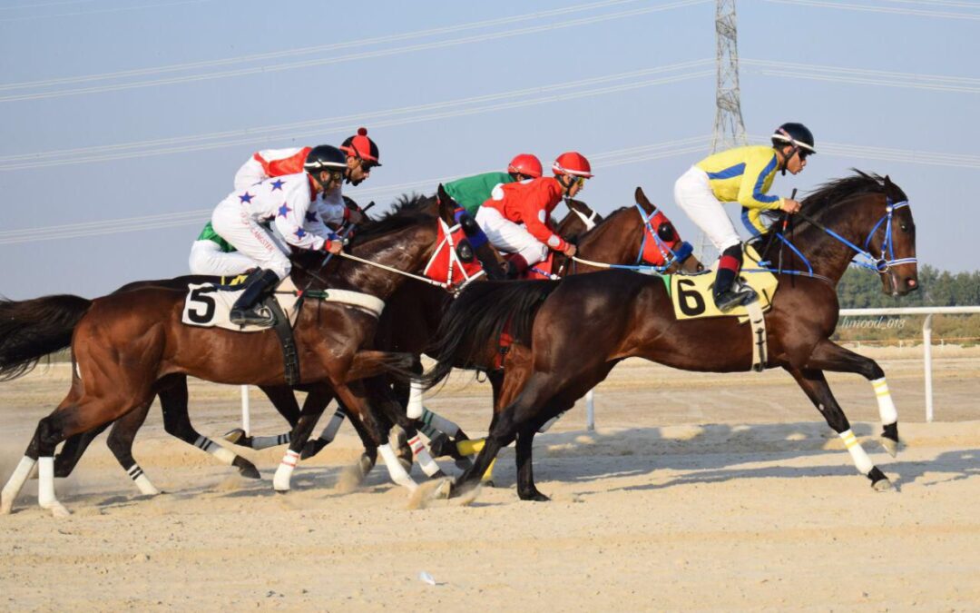 انطلاق منافسات سباقات الخيل في ميدان الفروسية بالدمام الجمعة المقبل