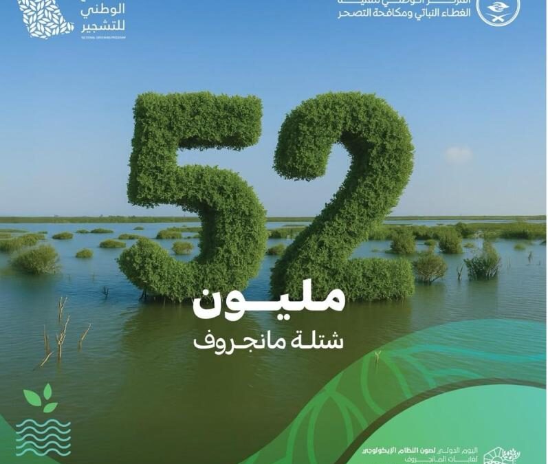 الغطاء النباتي يُعلن عن زراعة 52 مليون شجرة مانجروف على سواحل المملكة بالتعاون مع الشركاء