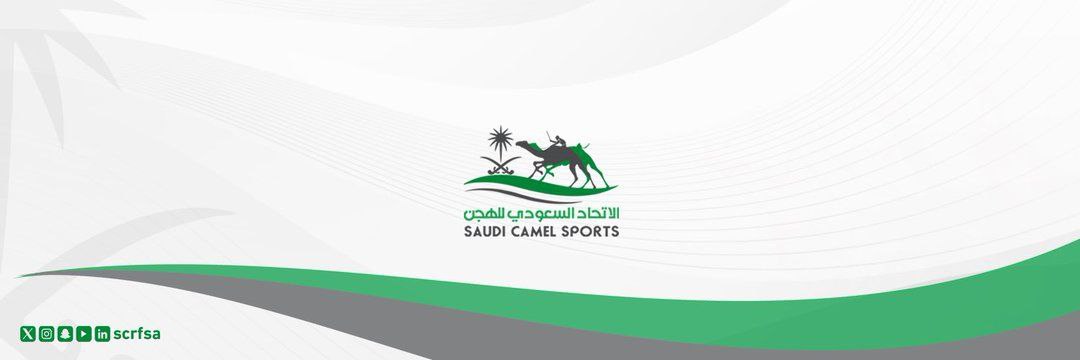 الطائف  : إنطلاق سباق الهجن يوم الأحد القادم وجوائز تفوق 7ملايين ريال