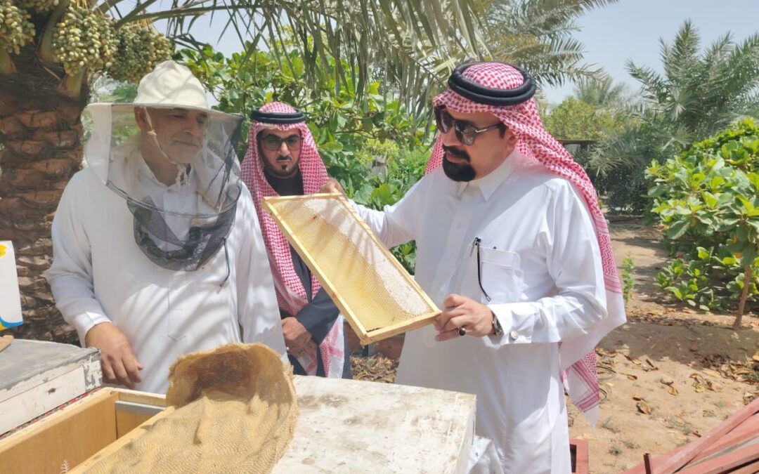 مدير مكتب الزراعة بالقطيف يقف على مراحل فرز “عسل المانجروف” في موسمه الخامس