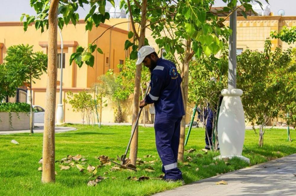بمساحة 256 ألف متر مربع بلدية الظهران تنفذ أعمال صيانة وتأهيل مسطحات خضراء خلال شهر