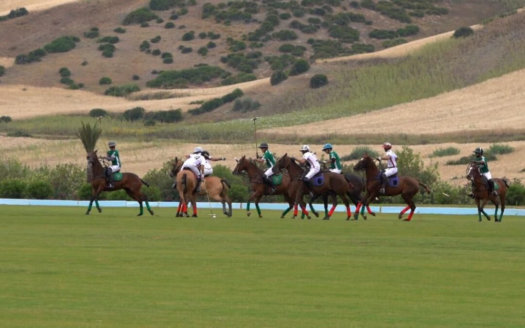 الأولمبية والبارالمبية السعودية تعتمد دمج البولو والفروسية