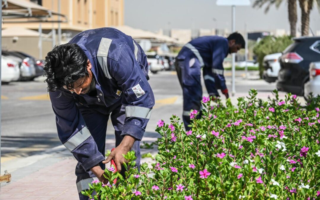 بلدية الظهران: مسطحات خضراء وحدائق عامة تعزز جودة الحياة