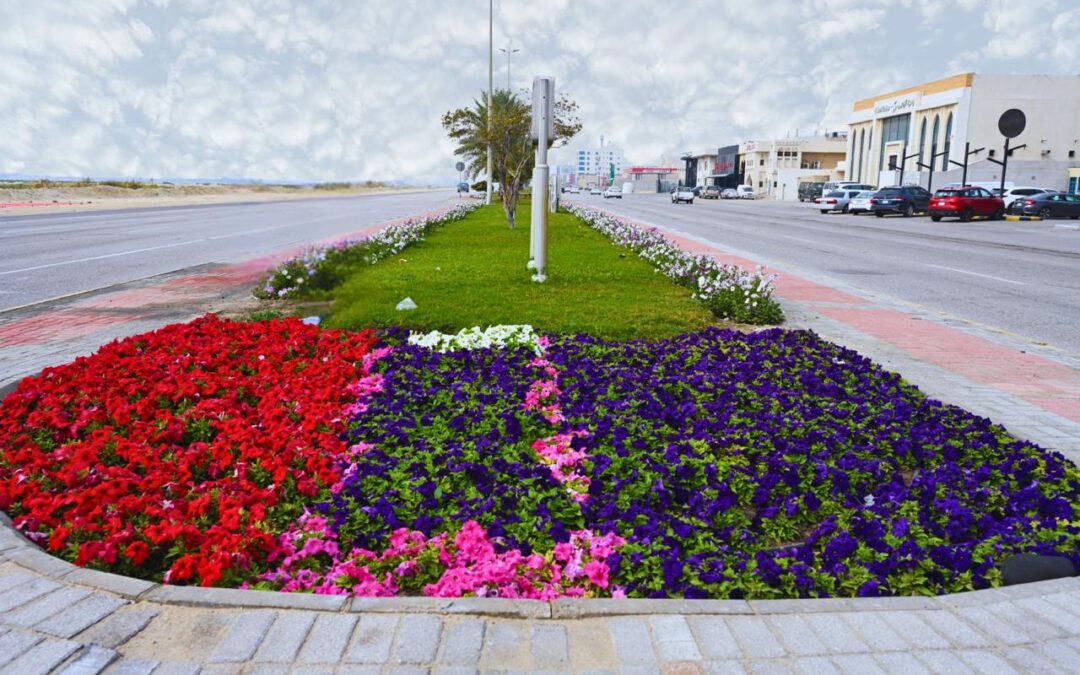 أمانة الشرقية تحقق قفزة حضرية خلال 90 يوم: 3.3 ملايين شجرة و79 ألف م² إصلاح طرق بالشرقية