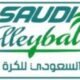 اتحاد الطائرة يعتمد “البلاي أوف” وتسجيل ثلاثة لاعبين أجانب في الدوري الممتاز