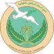 السلام يتقدم بثبات في الحوكمة نحو الفئة (ب) ويحقق الدعم الكامل للموسم الرياضي 2026