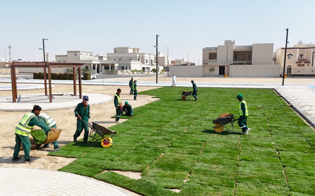 أمانة الشرقية: بدء زراعة 5 آلاف متر مربع من المسطحات الخضراء بحديقة نموذجية بالنعيرية